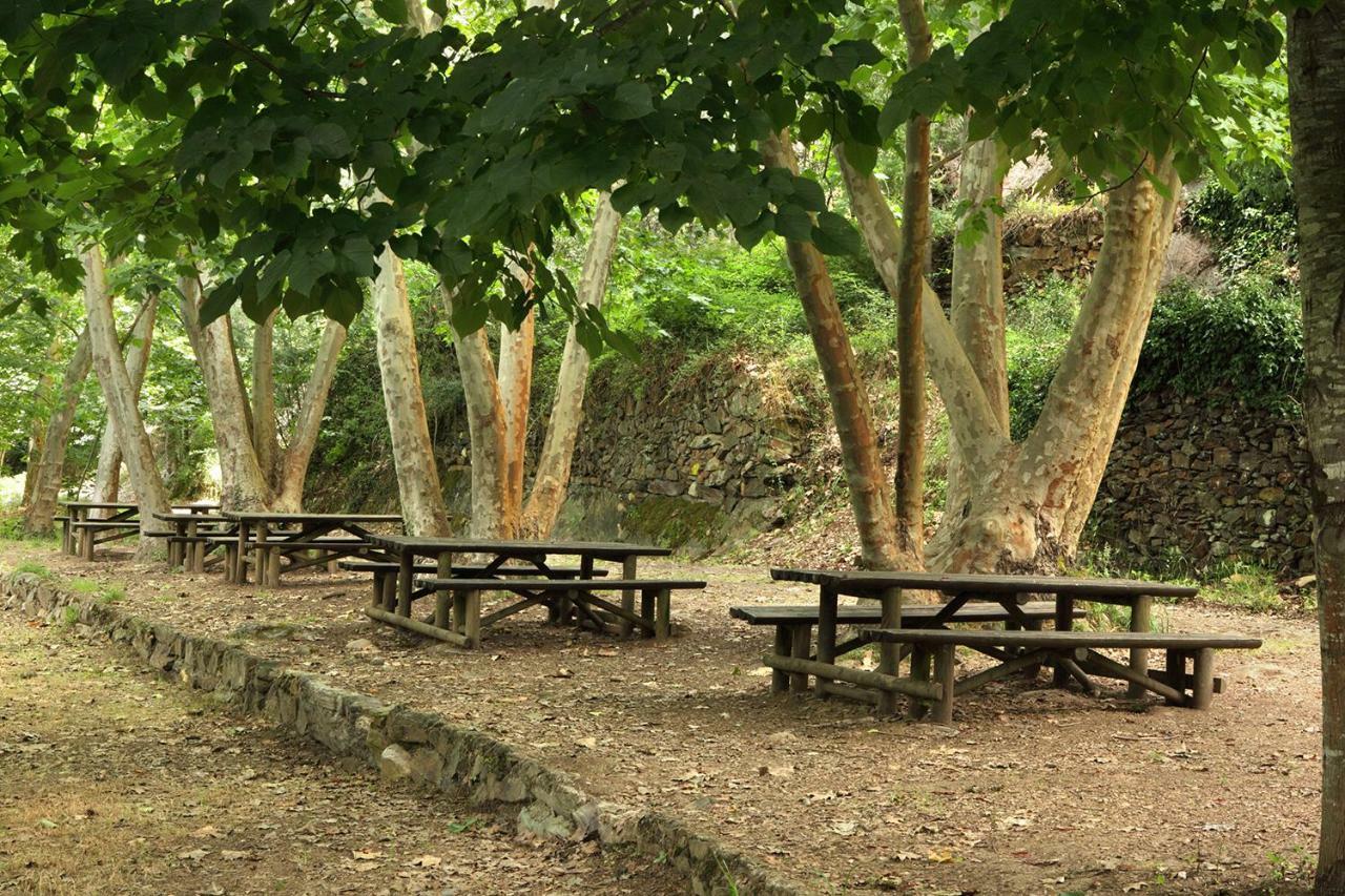 Casa Da Eira Pension Lousã Buitenkant foto